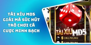 Tài Xỉu MD5 Giải Mã Sức Hút Trò Chơi Cá Cược Minh Bạch